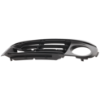 Picture of Fog Light Trim