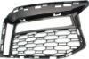 Picture of Fog Light Trim