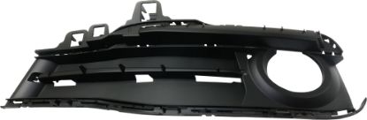 Picture of Fog Light Trim