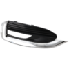 Picture of Fog Light Trim
