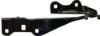 Picture of Hood Hinge