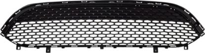 Picture of Bumper Grille