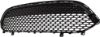 Picture of Bumper Grille