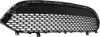 Picture of Bumper Grille