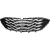 Picture of Bumper Grille