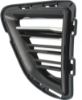 Picture of Fog Light Cover