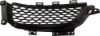 Picture of Bumper Grille