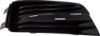 Picture of Bumper Grille