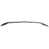 Picture of Bumper Trim