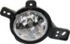 Picture of Fog Light