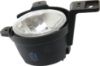 Picture of Fog Light