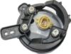 Picture of Fog Light