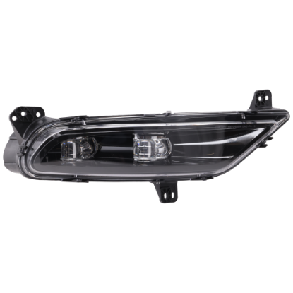 Picture of Fog Light