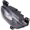 Picture of Fog Light