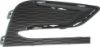 Picture of Fog Light Cover