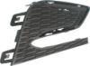 Picture of Fog Light Cover