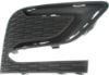 Picture of Fog Light Cover