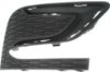 Picture of Fog Light Cover