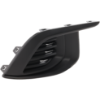 Picture of Fog Light Cover