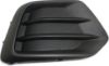 Picture of Fog Light Cover