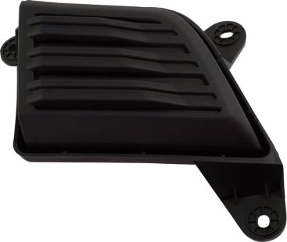 Picture of Fog Light Cover