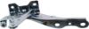 Picture of Hood Hinge