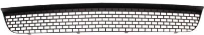 Picture of Bumper Grille