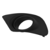Picture of Fog Light Trim