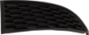 Picture of Fog Light Cover