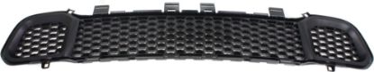 Picture of Bumper Grille