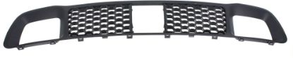 Picture of Bumper Grille