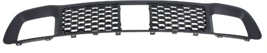 Picture of Bumper Grille