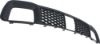 Picture of Bumper Grille