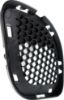 Picture of Bumper Grille