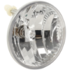 Picture of Fog Light