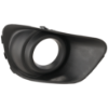 Picture of Fog Light Trim