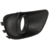 Picture of Fog Light Trim