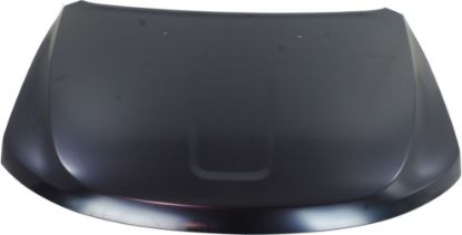 Picture of Hood