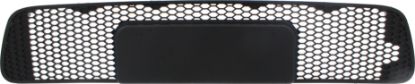 Picture of Bumper Grille