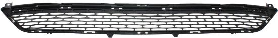 Picture of Bumper Grille