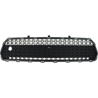 Picture of Bumper Grille