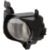 Picture of Fog Light