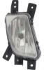 Picture of Fog Light