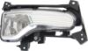 Picture of Fog Light