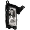 Picture of Fog Light