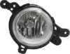 Picture of Fog Light