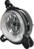 Picture of Fog Light