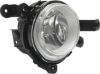 Picture of Fog Light