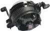 Picture of Fog Light