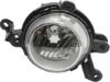 Picture of Fog Light